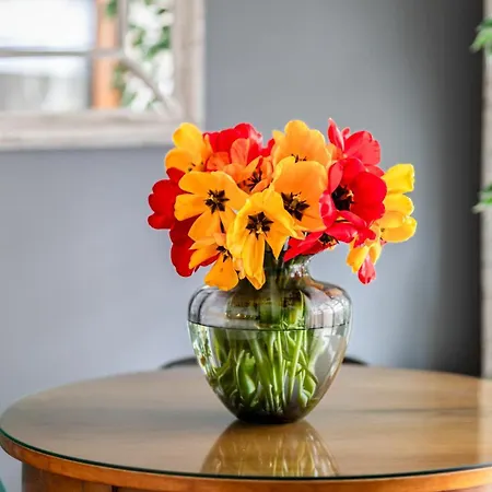 Apartment Baltic Park A Piamola, Bezplatne Solarium