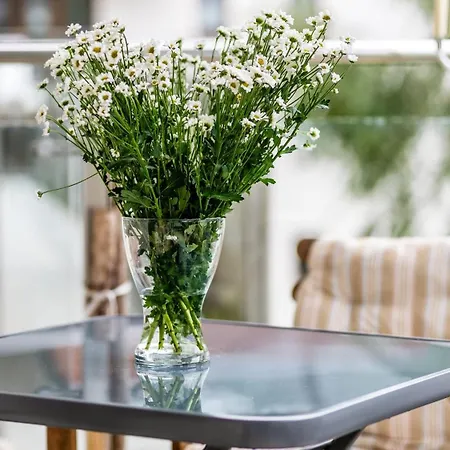 Baltic Park A Piamola, Bezplatne Solarium