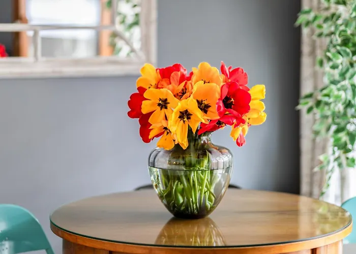 Apartment Baltic Park A Piamola, Bezplatne Solarium